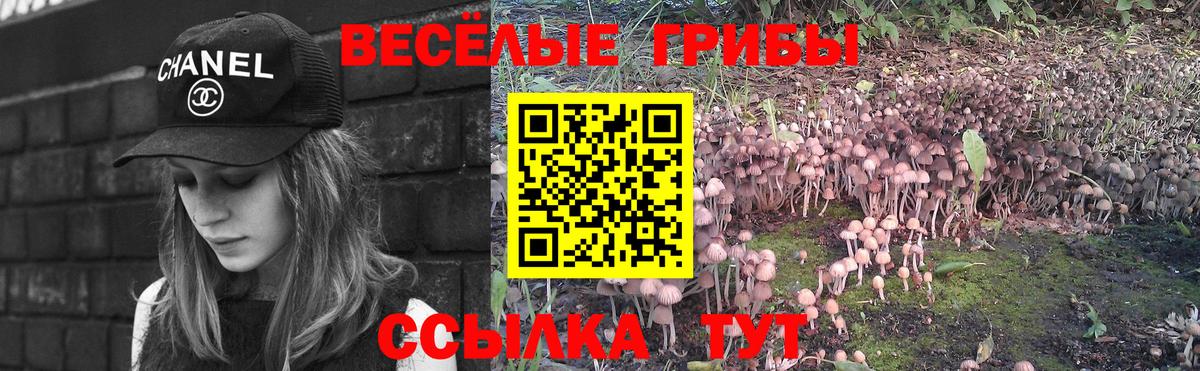 Железноводск  Галлюциногенные грибы мухоморы  Вход с VPN  Псилоцибиновые грибы ЛСД 