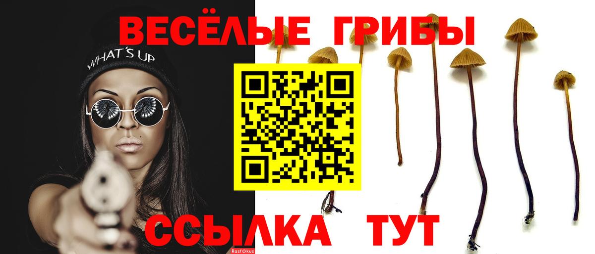 Галлюциногенные грибы прущие грибы Железноводск